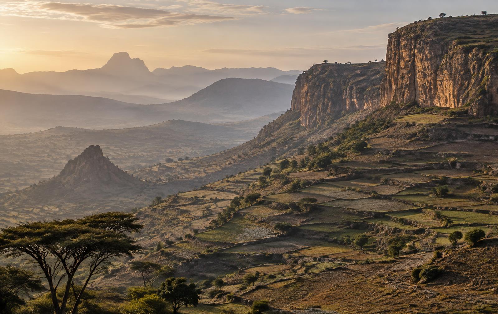 Terraced highland farmland below an escarpment at sunrise in the Ethiopian highlands